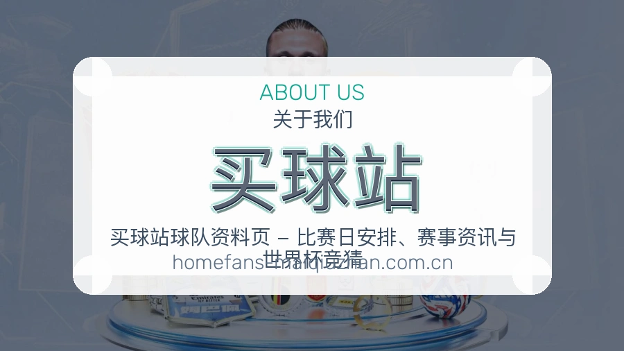 买球站体育页面服务